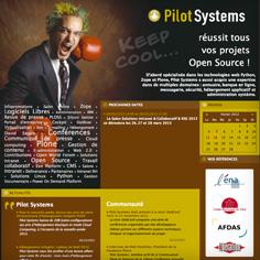 Pilot Systems stratégie community management